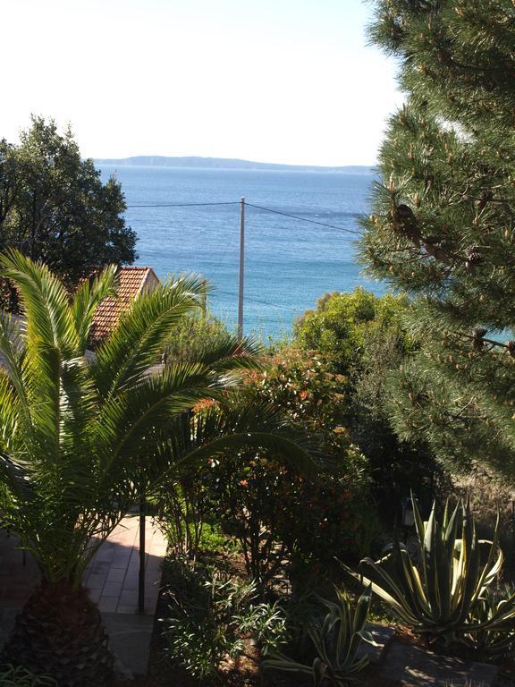 Les Lauriers Roses Aparthotel Le Le Rayol-Canadel-sur-Mer Eksteriør bilde