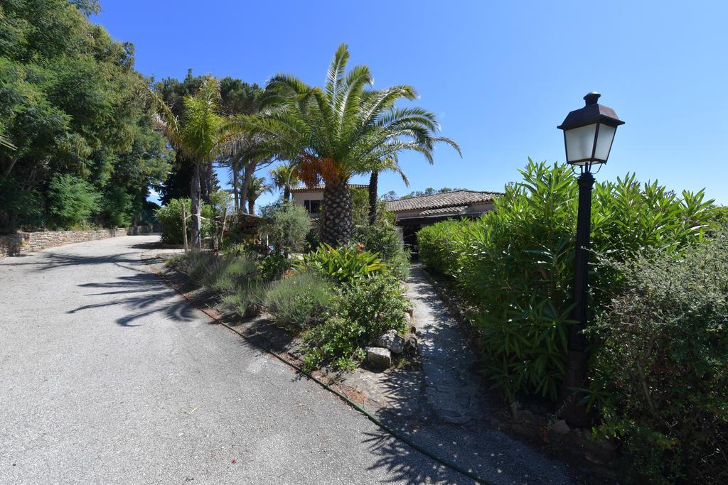 Les Lauriers Roses Aparthotel Le Le Rayol-Canadel-sur-Mer Eksteriør bilde