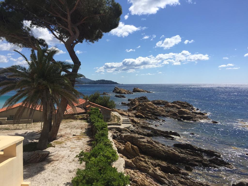 Les Lauriers Roses Aparthotel Le Le Rayol-Canadel-sur-Mer Eksteriør bilde